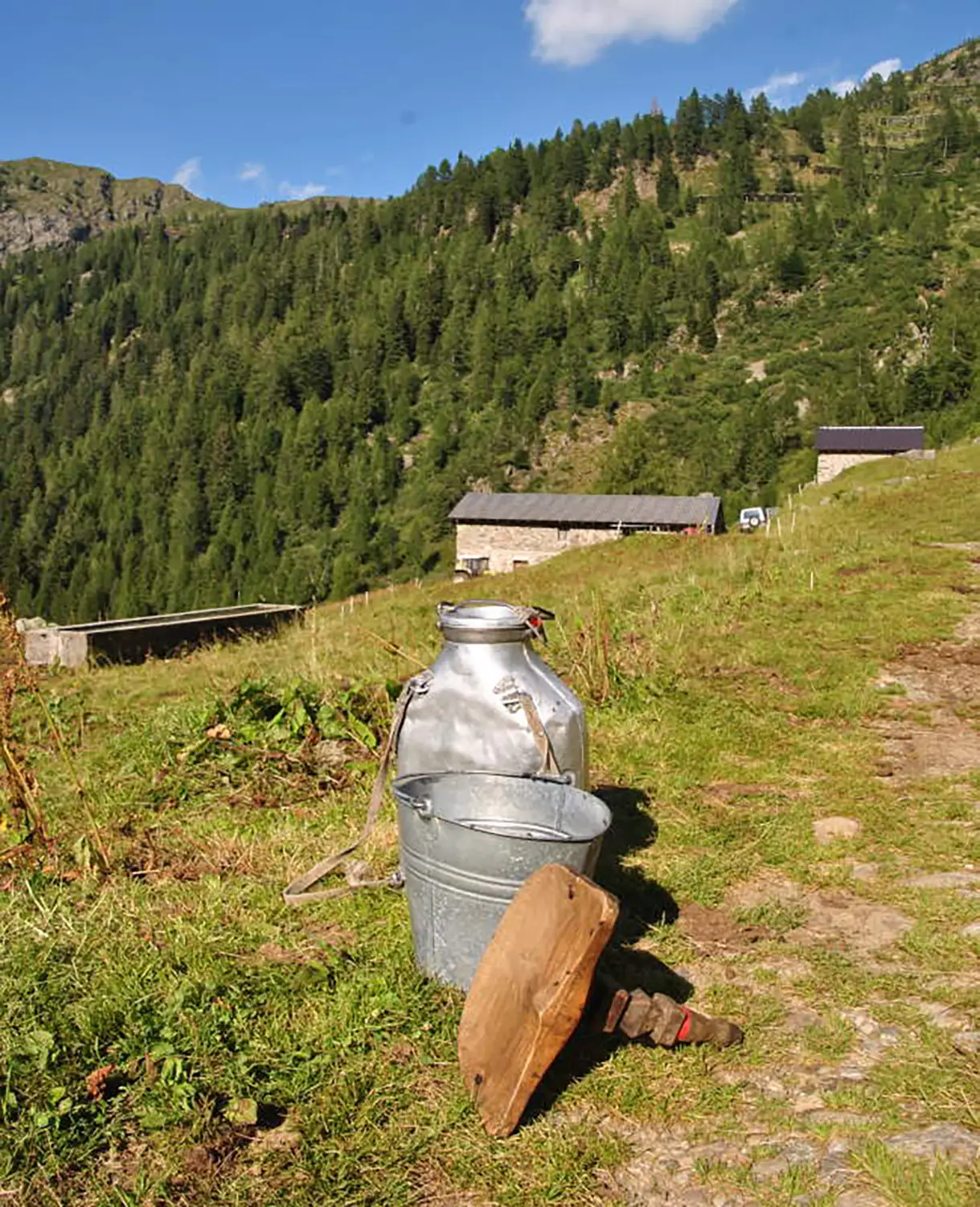 ILBITTODELLAVALGEROLA 1
