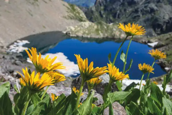 Cosa Puoi Fare In Valgerola 6