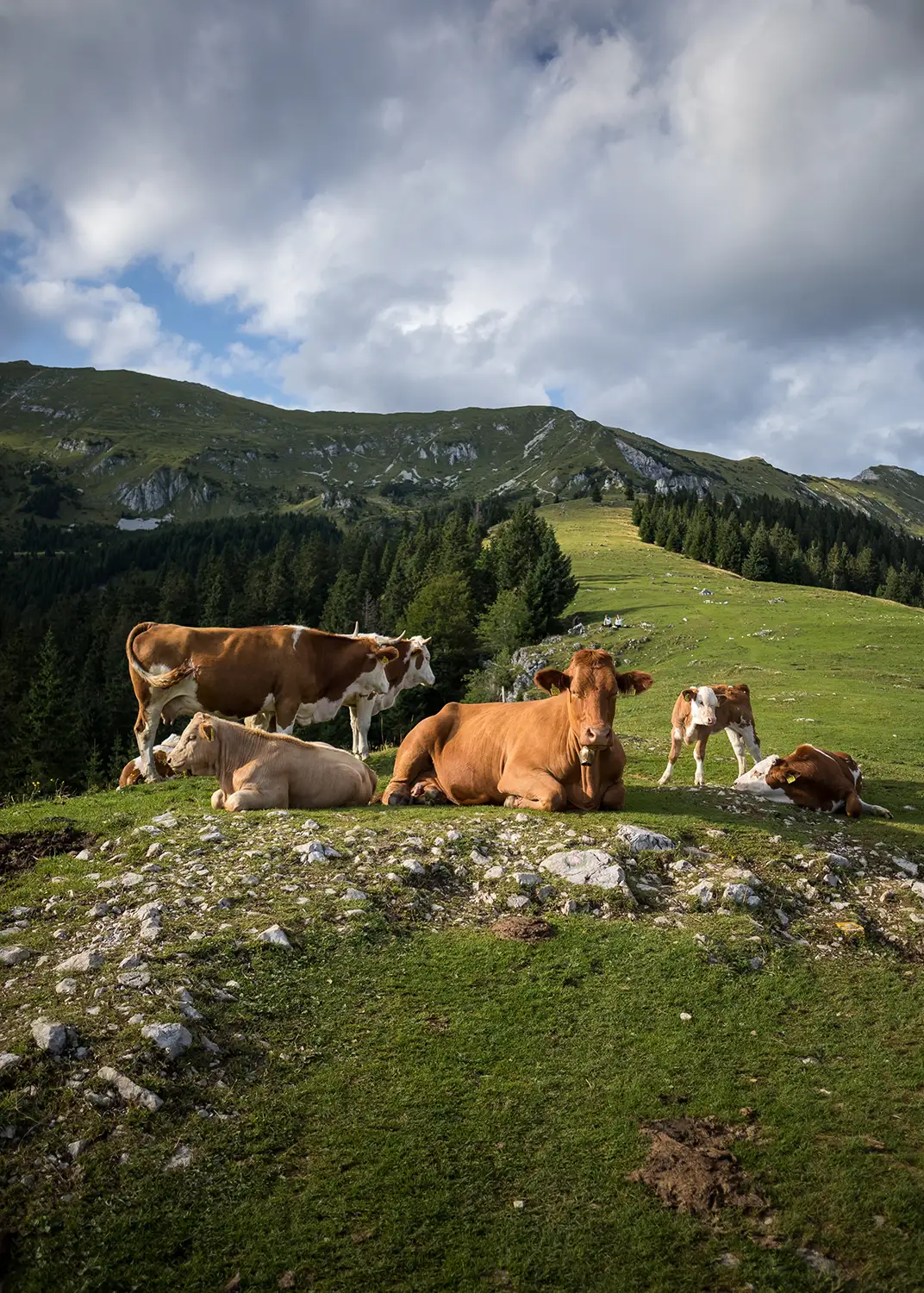 Scopri La Valgerola 4